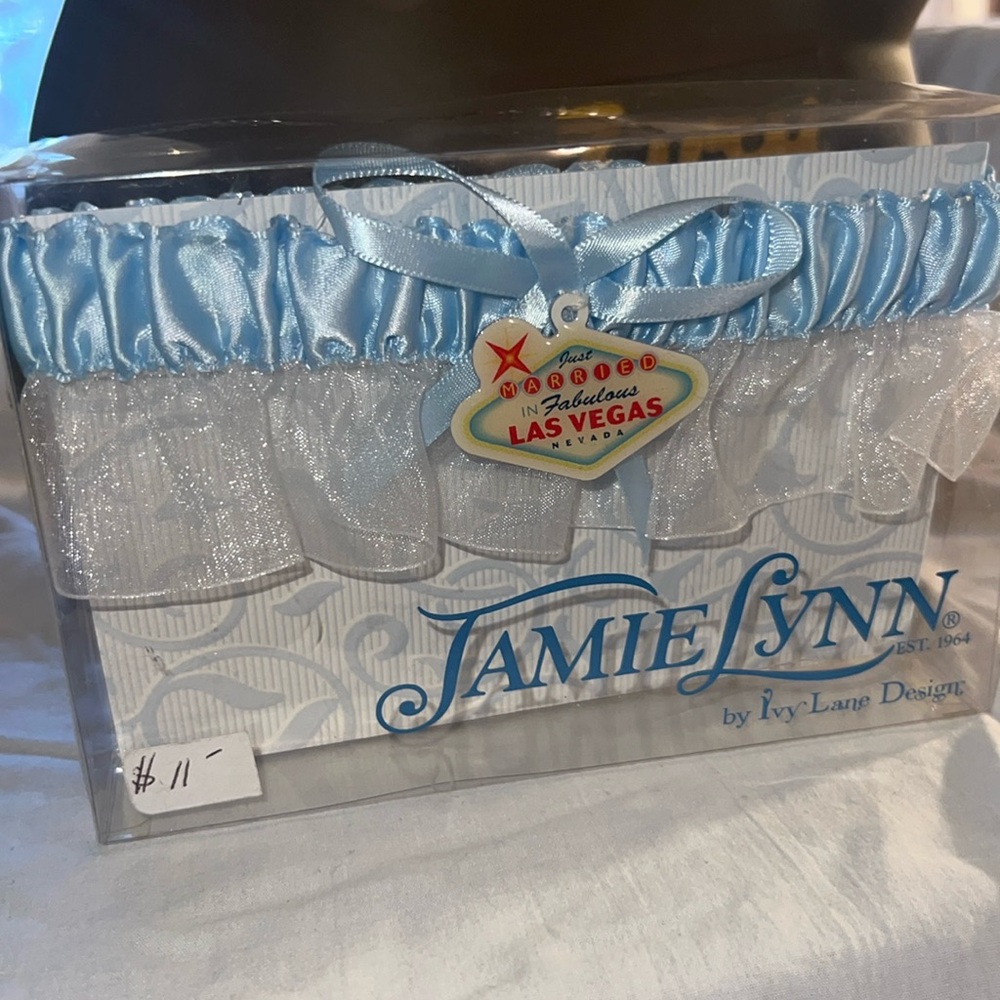 Blue and White Las Vegas Garter Belt